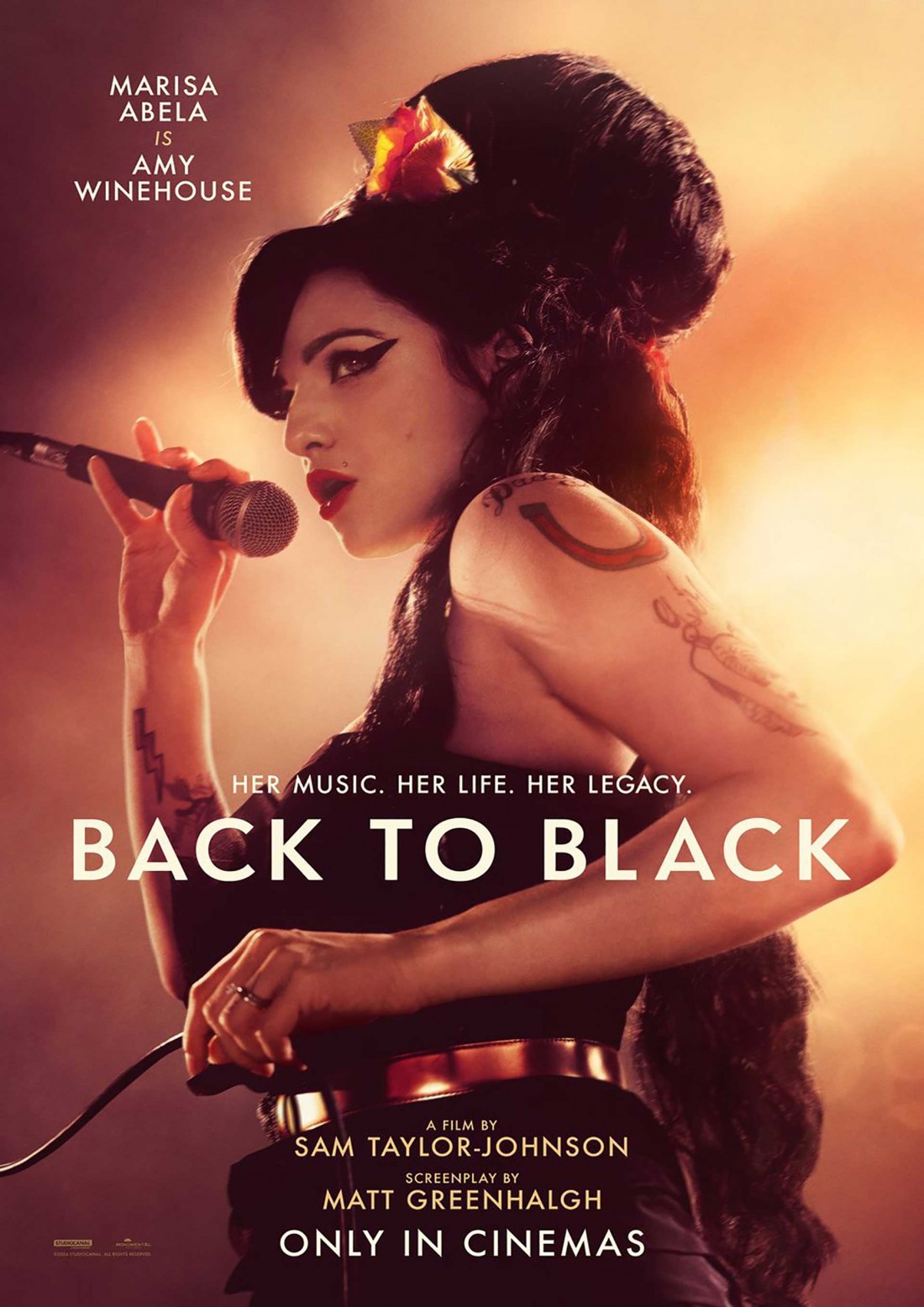 BACK TO BLACK - The Amy Winehouse Story